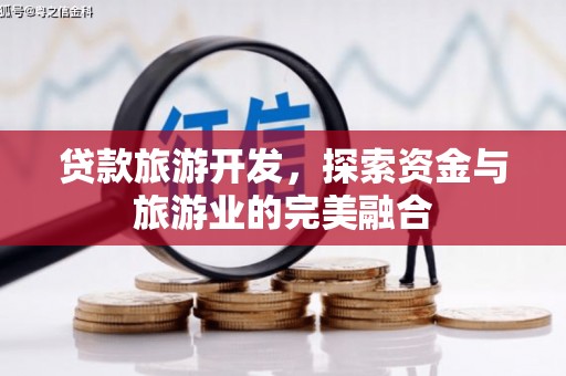阜宁贷款旅游开发，探索资金与旅游业的完美融合