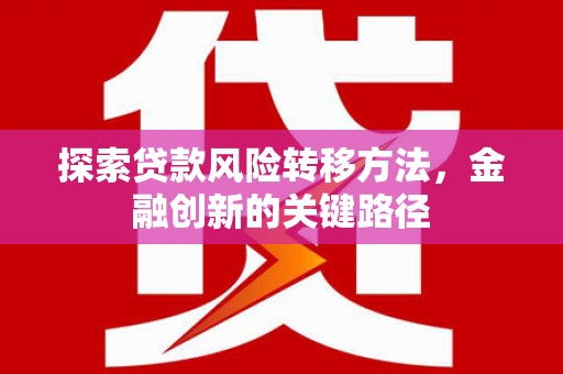 阜宁探索贷款风险转移方法，金融创新的关键路径