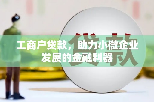 阜宁工商户贷款，助力小微企业发展的金融利器