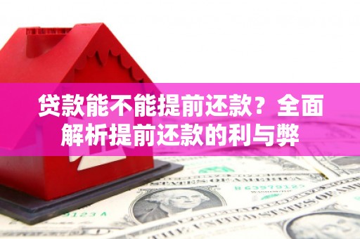 阜宁贷款能不能提前还款？全面解析提前还款的利与弊