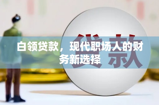 阜宁白领贷款，现代职场人的财务新选择