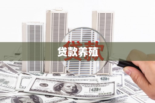 阜宁贷款养殖