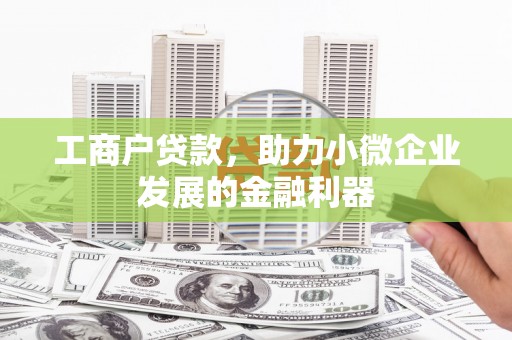 阜宁工商户贷款，助力小微企业发展的金融利器