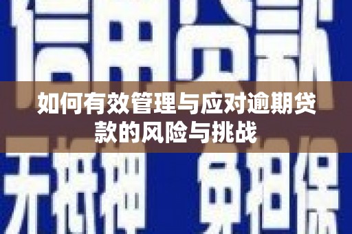 阜宁如何有效管理与应对逾期贷款的风险与挑战