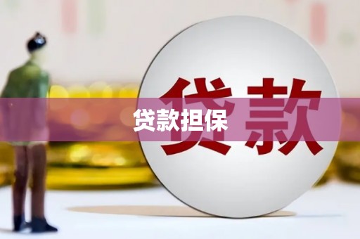 阜宁贷款担保