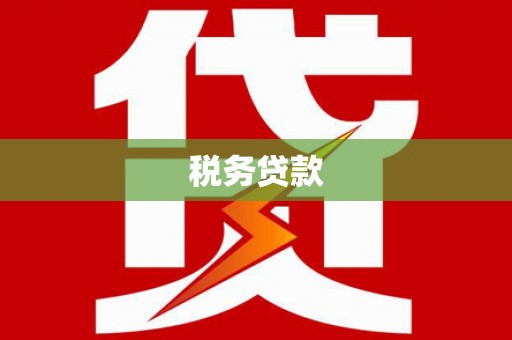 阜宁税务贷款
