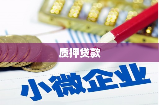 阜宁质押贷款