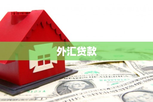 阜宁外汇贷款