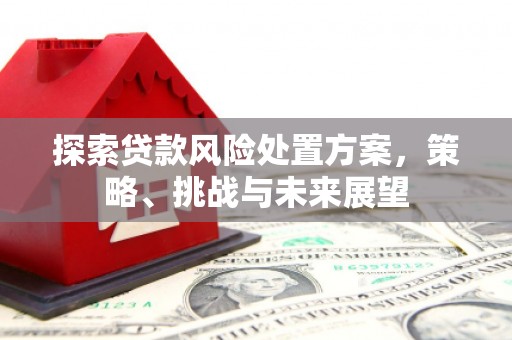 阜宁探索贷款风险处置方案，策略、挑战与未来展望