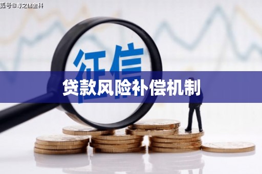 阜宁贷款风险补偿机制