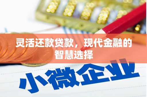阜宁灵活还款贷款，现代金融的智慧选择