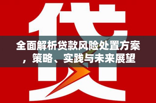 阜宁全面解析贷款风险处置方案，策略、实践与未来展望