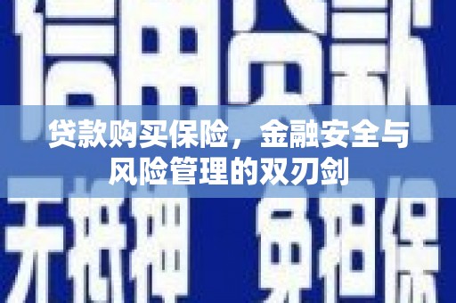 阜宁贷款购买保险，金融安全与风险管理的双刃剑