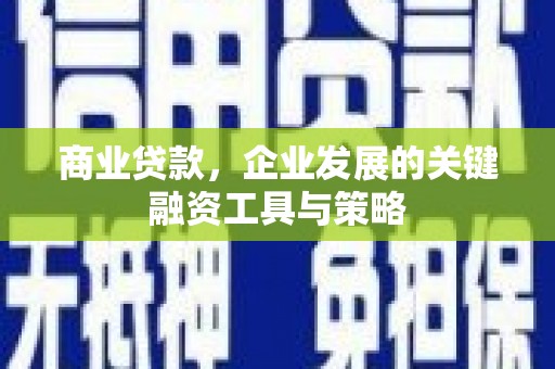 阜宁商业贷款，企业发展的关键融资工具与策略