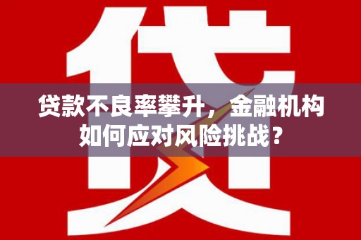 阜宁贷款不良率攀升，金融机构如何应对风险挑战？