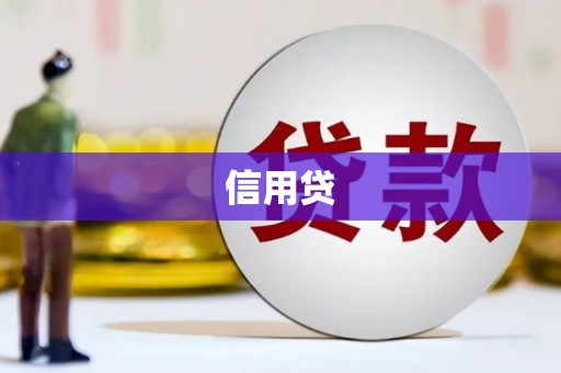 阜宁信用贷