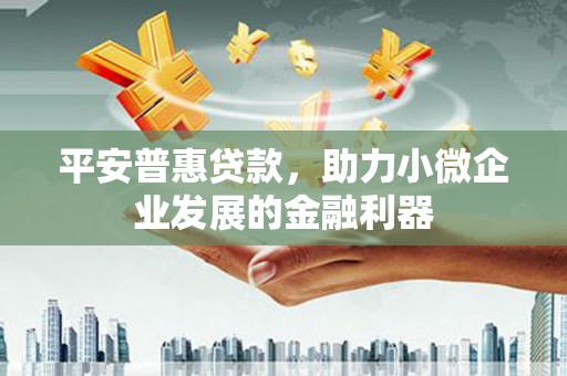 阜宁平安普惠贷款，助力小微企业发展的金融利器