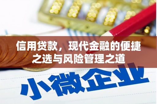 阜宁信用贷款，现代金融的便捷之选与风险管理之道