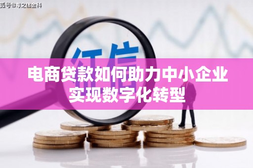 阜宁电商贷款如何助力中小企业实现数字化转型