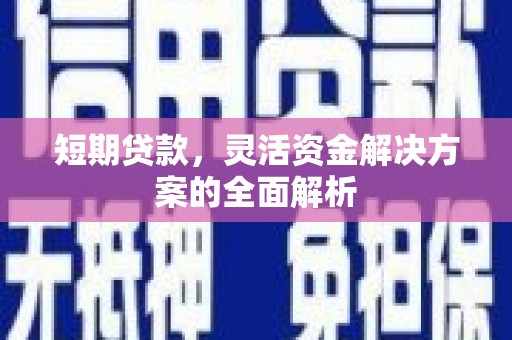 阜宁短期贷款，灵活资金解决方案的全面解析