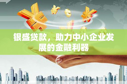 阜宁银盛贷款，助力中小企业发展的金融利器