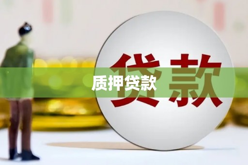 阜宁质押贷款