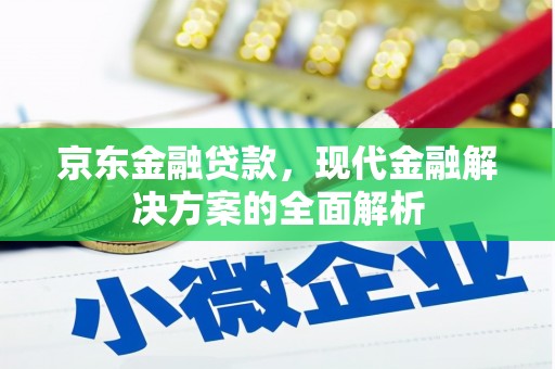 阜宁京东金融贷款，现代金融解决方案的全面解析