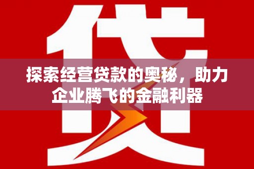 阜宁探索经营贷款的奥秘，助力企业腾飞的金融利器