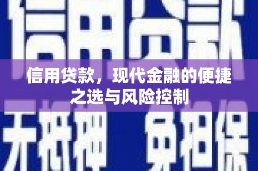 阜宁信用贷款，现代金融的便捷之选与风险控制