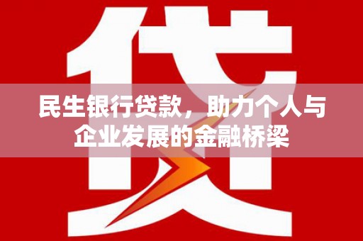 阜宁民生银行贷款，助力个人与企业发展的金融桥梁