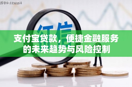 阜宁支付宝贷款，便捷金融服务的未来趋势与风险控制