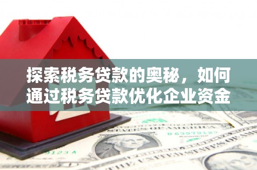 阜宁探索税务贷款的奥秘，如何通过税务贷款优化企业资金流