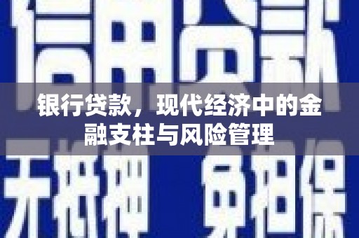阜宁银行贷款，现代经济中的金融支柱与风险管理
