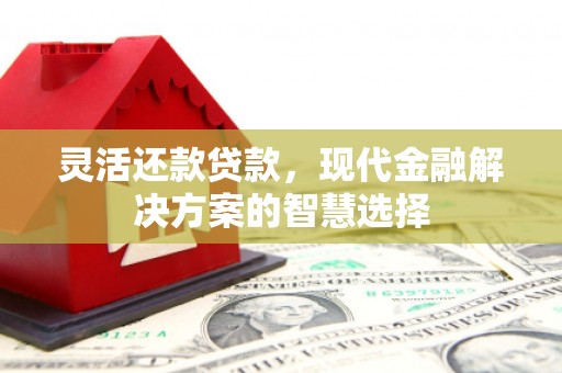 阜宁灵活还款贷款，现代金融解决方案的智慧选择