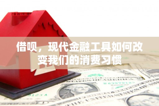 阜宁借呗，现代金融工具如何改变我们的消费习惯