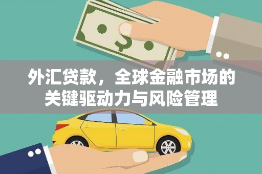 阜宁外汇贷款，全球金融市场的关键驱动力与风险管理
