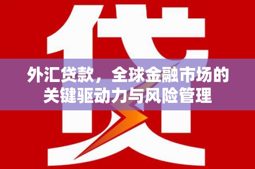 阜宁外汇贷款，全球金融市场的关键驱动力与风险管理