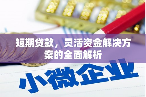阜宁短期贷款，灵活资金解决方案的全面解析