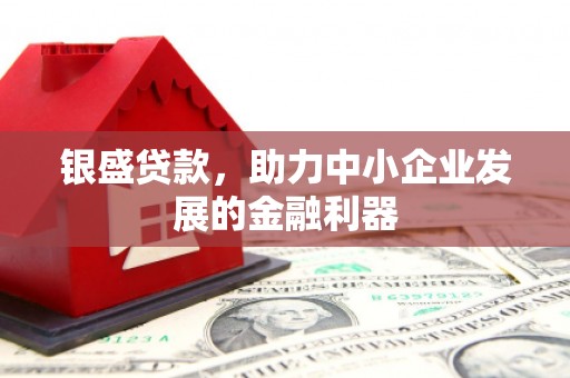 阜宁银盛贷款，助力中小企业发展的金融利器