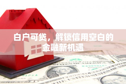 阜宁白户可贷，解锁信用空白的金融新机遇