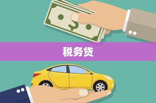 阜宁税务贷