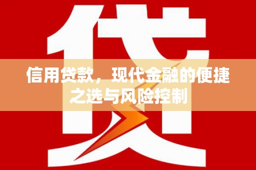 阜宁信用贷款，现代金融的便捷之选与风险控制
