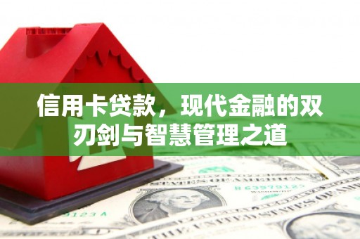 阜宁信用卡贷款，现代金融的双刃剑与智慧管理之道