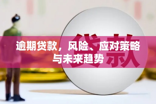 阜宁逾期贷款，风险、应对策略与未来趋势