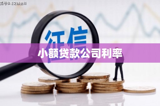 阜宁小额贷款公司利率