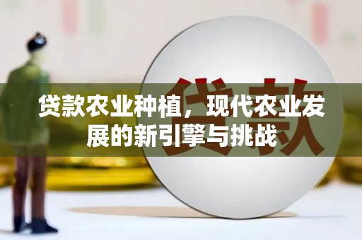 阜宁贷款农业种植，现代农业发展的新引擎与挑战