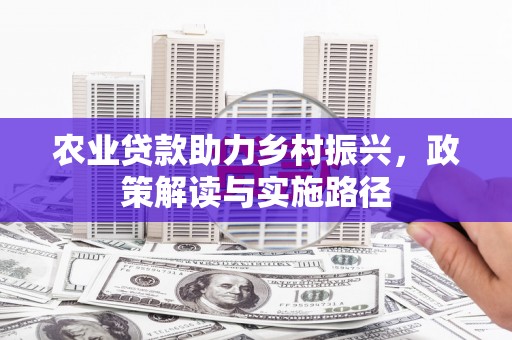 阜宁农业贷款助力乡村振兴，政策解读与实施路径