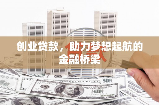 阜宁创业贷款，助力梦想起航的金融桥梁