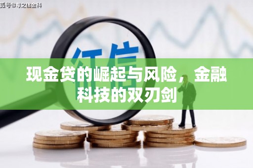 阜宁现金贷的崛起与风险，金融科技的双刃剑