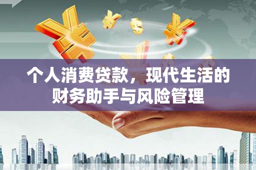 阜宁个人消费贷款，现代生活的财务助手与风险管理